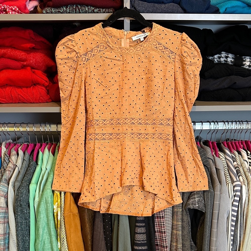 Olivaceous terracotta long puff sleeve embroidered back zipper eyelet top S NWT